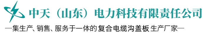 中天（山東）電力科技有限責(zé)任公司